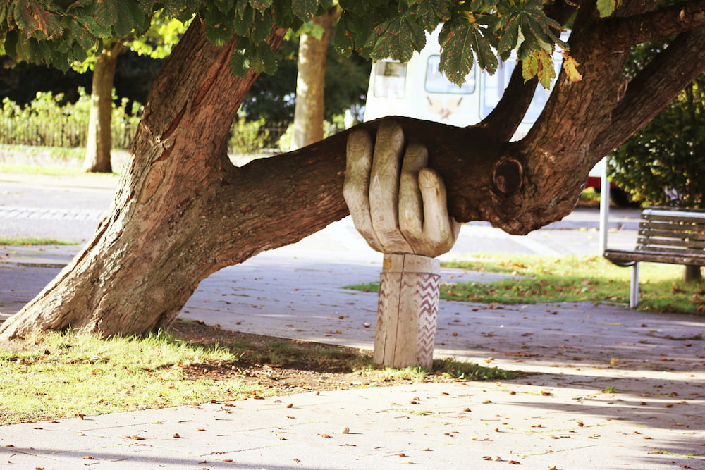 tree with support tree with support