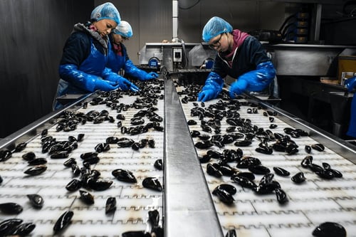 Food production line