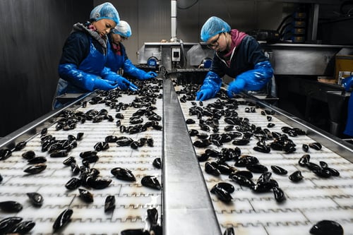 Food production line